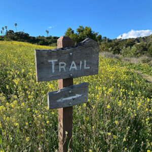 Santa Barbara Hike Parma Park Trail